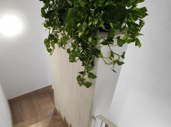 Tatil Evi Orizzonte Sullo Jonio